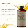 Majestic Pure USDA Organic Castor Oil - 4 Fl Oz - 4 of 4
