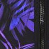 blue palm
