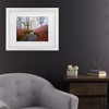 Trademark Fine Art - Jess M. Garcia Misty Morning In Otzarreta Matted Framed Art - 2 of 4