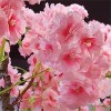 180cm Artificial Cherry Blossom Tree in Pot - Large Pink Blossom Artificial Plant for Home, Office & Event Decoration - 3 of 4