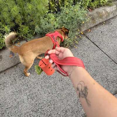 Collar Side Flower Dog Bow Tie - 3.5 - Boots & Barkley™ : Target