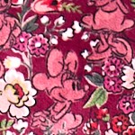 minnie mouse and daisy duck hidden hearts