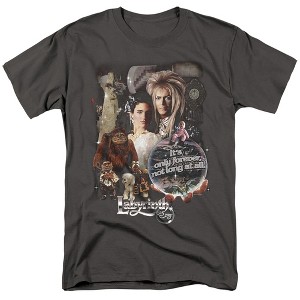 Men's Labyrinth 25 Years Of Magic T-Shirt - 1 of 4