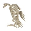 Skeleton Vulture Halloween Decoration, 10 x 17 x 5 in - 2 of 4