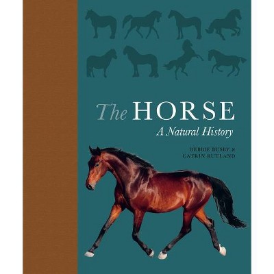 The Horse - by  Debbie Busby & Catrin Rutland (Hardcover)