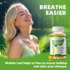 Mulittea Mullein Leaf Capsules Herbal Supplement Supports Respiratory Function Health,120 Count - 2 of 4