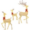 Outsunny Light Up Christmas Deer Family, Set of 3 Lighted Reindeer Christmas Decorations with 3 LED Light Modes, Stakes & Zip Ties for Outdoor, Gold - 4 of 4