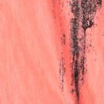 sunset coral abstract