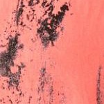 sunset coral abstract