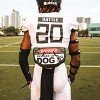 Battle Sports Beware of Dog Chrome Football Back Plate - 2 of 2