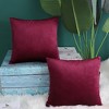 PiccoCasa Soft Velvet Solid Cushion Throw Pillow Covers 2 Pcs - 4 of 4