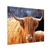 Trademark Fine Art Nathan Larson Highland Cow Sunshine Wood Slat Art - 2 of 4