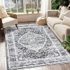 Washable Area Rug - Low-Profile Large Area Rug, Non-Slip Backing, Durable Edge Binding, Vintage Style, Suitable for Living Room Bedroom Dining Room - 2 of 4