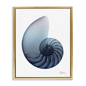 Stupell Industries Contemporary Nautilus Shell, 25" x 31" - 1 of 4