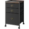 26.3" H 2/3 Drawer File Cabinet, Rolling File Cabinet Under Desk, Mobile File Cabinets for  for Letter Size File Folders - 2 of 4