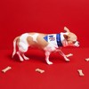 Pavilion Gift Company - USA - 7" x 5" Canvas Slip on Pet Bandana - Pet Apparel Accessories - 3 of 4