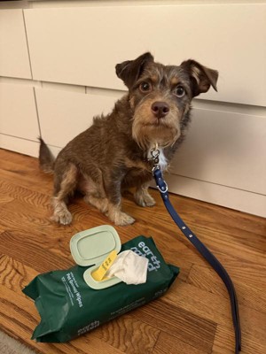 Guest review image 4 of 5, zoom in