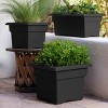 Bloem Veranda Resin Square Box Planter with Optional Knock-Out Drainage - 2 of 4