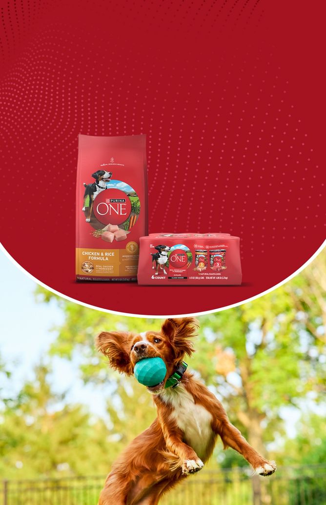 PURINA ONE