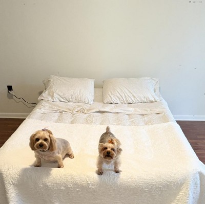 Guest review image 1 of 1, zoom in