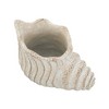 Chery Life Sand and Cement Conch Shell Planter with Textured Beige Finish - 3 of 4