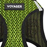 lime green 2-tone