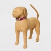 Floral Fashion Dog Collar - Boots & Barkley™ - 3 of 3