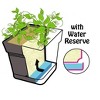 Mintra Garden - 6.75in Square Garden Pot - 3 of 4