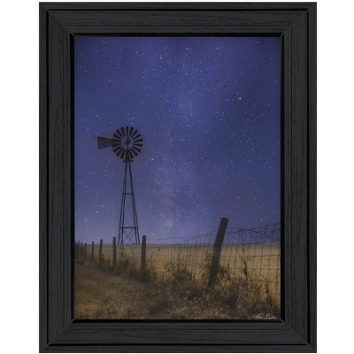 HomeRoots Starlit Night Black Framed Print Wall Art