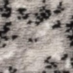 charcoal/ivory