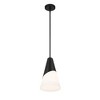 Crystorama Lighting Tori 1 - Light Pendant in  Matte Black - 4 of 4