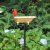 Good Directions 33" Splish-Splash Bird Bath - Copper - 4 of 4