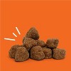 Zesty Paws Allergy Immune Soft Chews for Dogs - Lamb Flavor - 60ct - image 4 of 4