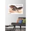 Trends International Star Wars: The Mandalorian - Ride Unframed Wall Poster Prints - 2 of 4