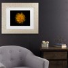 Trademark Fine Art - Brian Carson Backyard Flowers 79 Matted Framed Art - 2 of 4