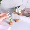 Unique Bargains High Borosilicate Glass Bell Display Case 1.97 x 1.18 Inch 10 Pcs - 3 of 4