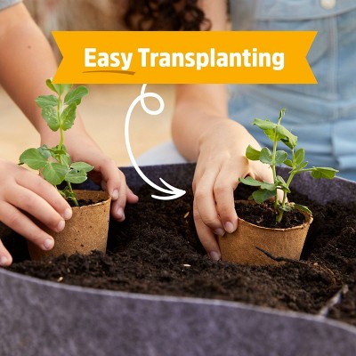 Roots Kids Grow Kit: Organic Giant Sunflower