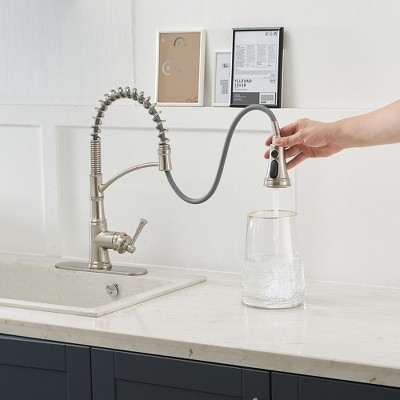 Brushed Nickel Single-Handle Pull-Down Kitchen Faucet with Deck Plate