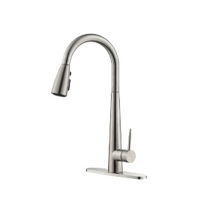ALEXOUN  High Arc Single Handle Kitchen Sink Faucet with Deck Plate - 1 of 4