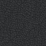 boston red sox 1976-2008