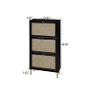 TIRAMISUBEST Farmhouse Shoe Cabinet - Black Rattan, 3-Door, Holds 18 Pairs (23"W x 48"H) - 4 of 4
