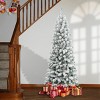 National Tree Company First Traditions 6' Unlit Medium Flocked Acacia ...