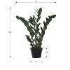 Gulches 29in Artificial ZZ Tree in Black Pot Green 72 Real Touch Leaves Indoor Faux Floor Plant No Maintenance Decorative Greenery - 4 of 4