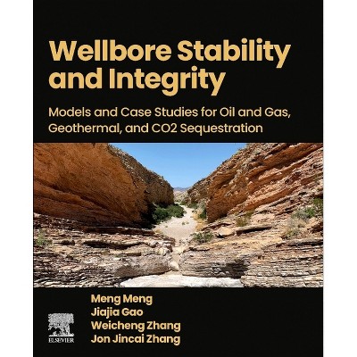 Wellbore Stability and Integrity - by  Meng Meng & Jiajia Gao & Weicheng Zhang & Jon Jincai Zhang (Paperback)