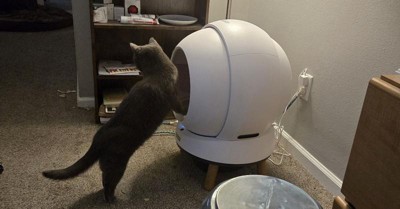 Guest review image 1 of 4, zoom in