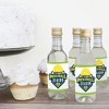 Big Dot of Happiness Let’s Rally - Pickleball - Mini Wine and Champagne Bottle Label Stickers - Birthday or Retirement Party Favor Gift - Set of 16 - 3 of 4
