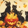 Collections Etc Black Cat Pumpkin Party Halloween Woven Tunic - 3 of 4