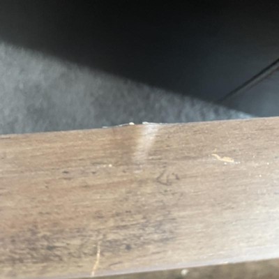 Guest review image 1 of 4, zoom in