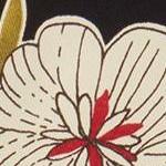 Aloha Black