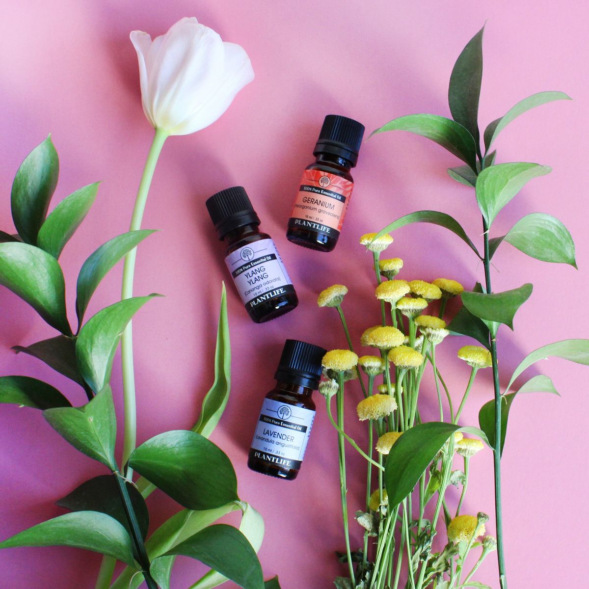 Plantlife Flower Aromatherapy Essential Oil Set – Pure & Therapeutic Grade – No Additives or Fillers – 10 ml Each - thumbnail 3